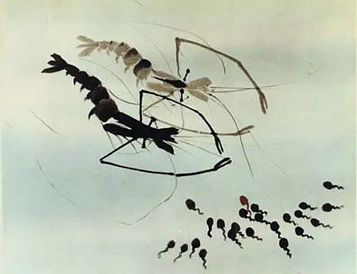 小蝌蚪找妈妈剧照1