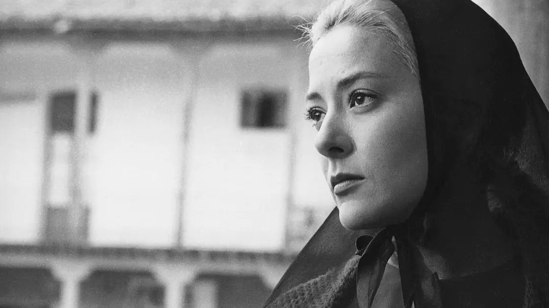 维莉蒂安娜剧照2