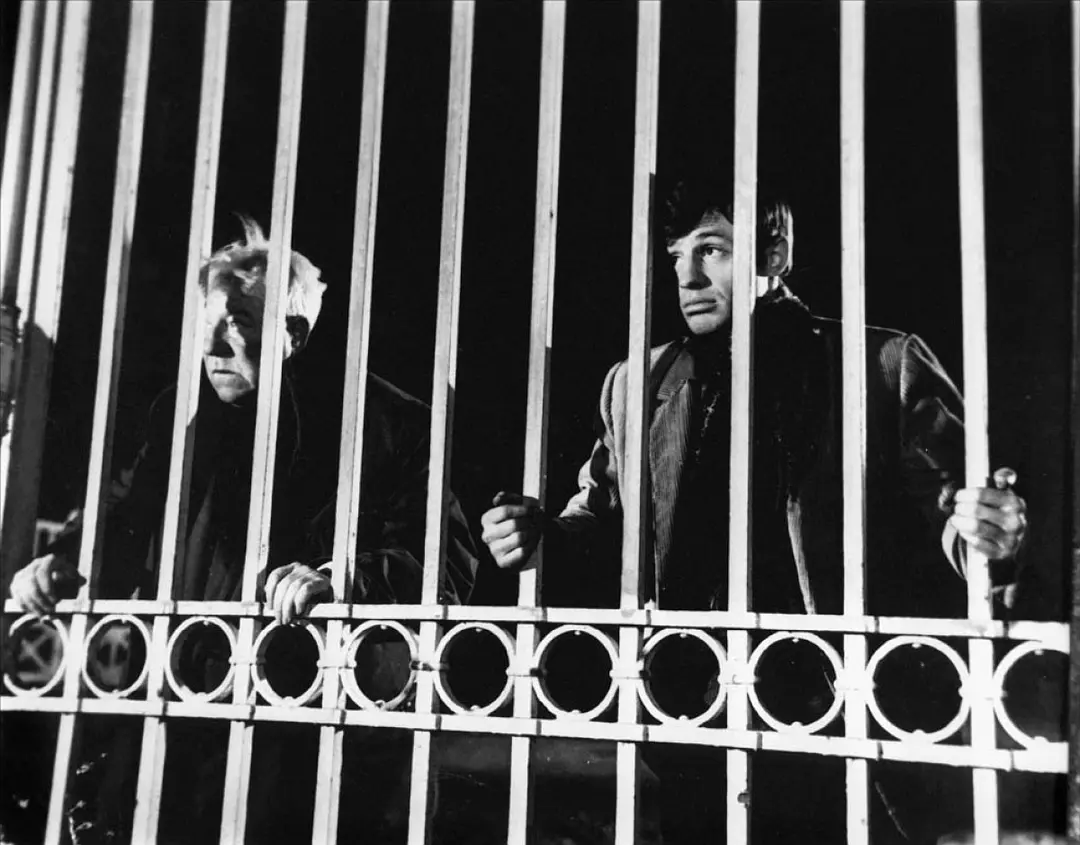 冬天的猴子剧照1