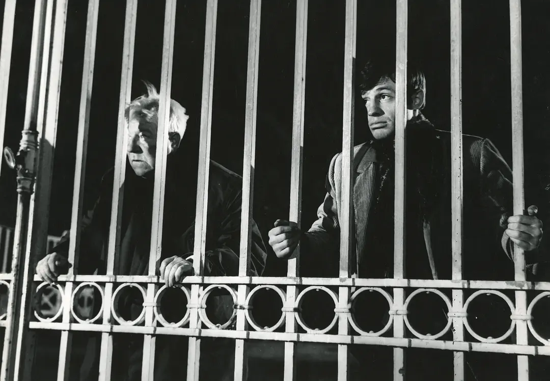 冬天的猴子剧照3