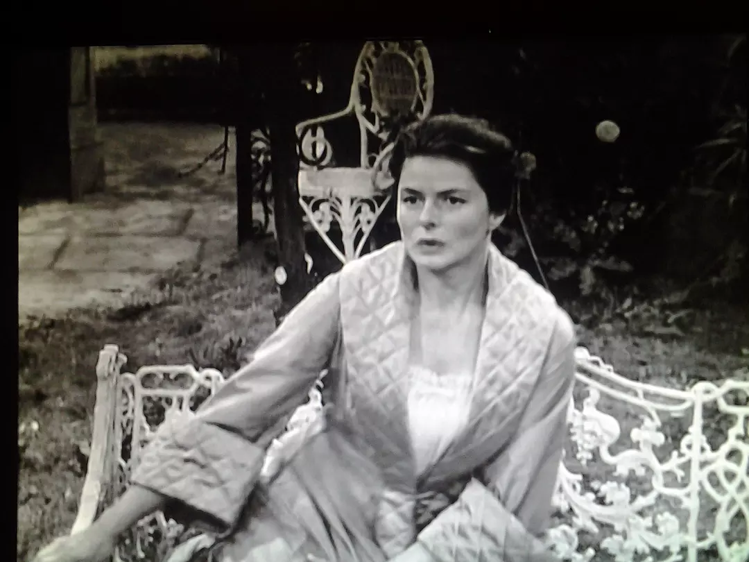 海达·加布勒剧照2