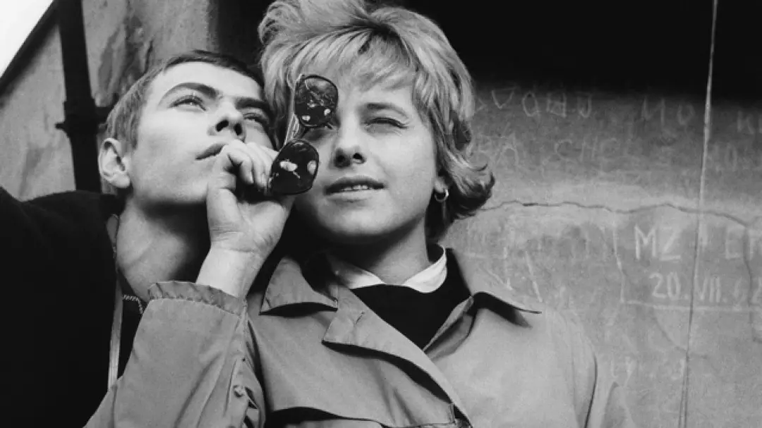 网中的太阳剧照3