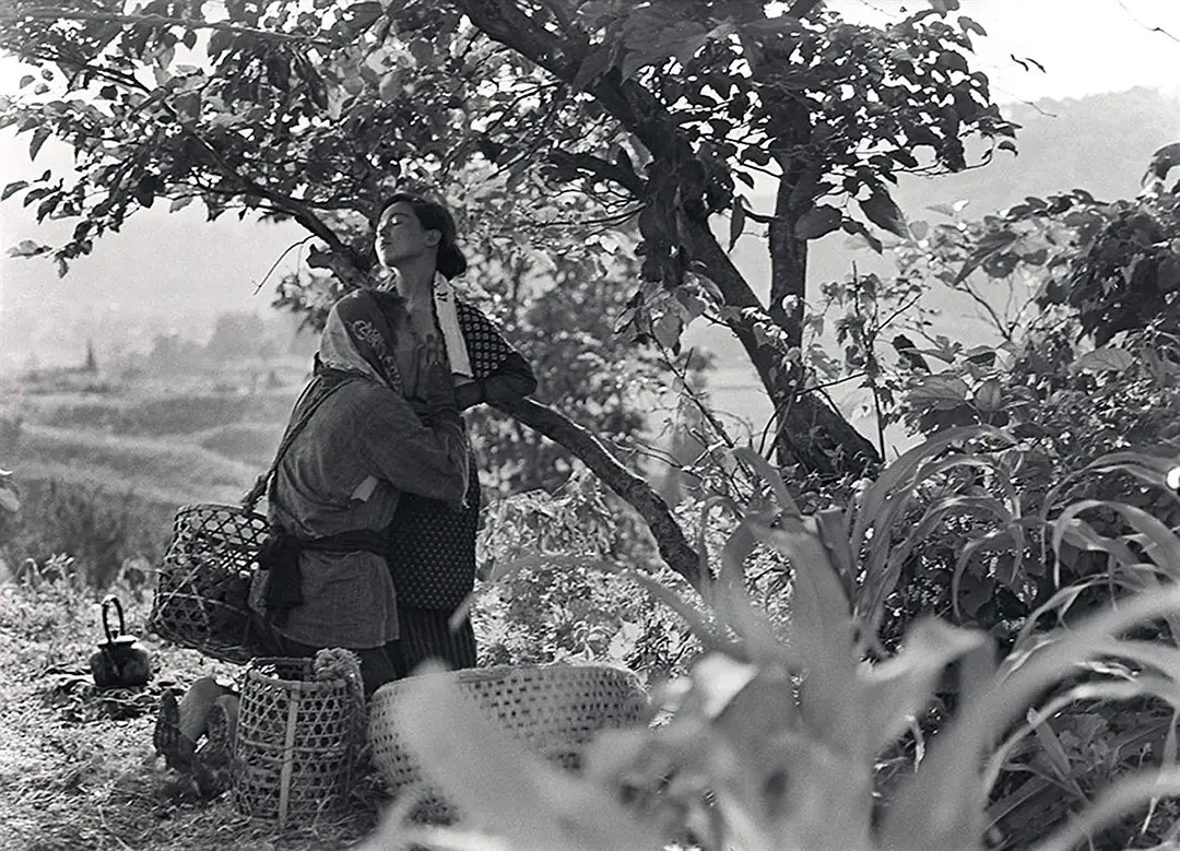 日本昆虫记剧照1