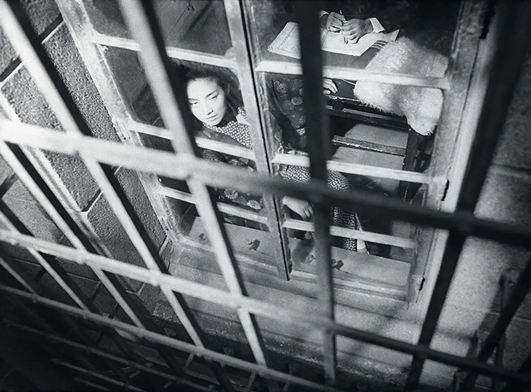 日本昆虫记剧照2