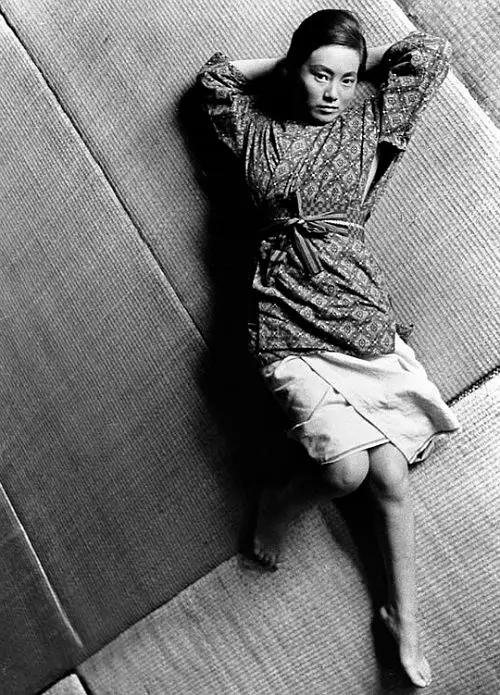 日本昆虫记剧照3