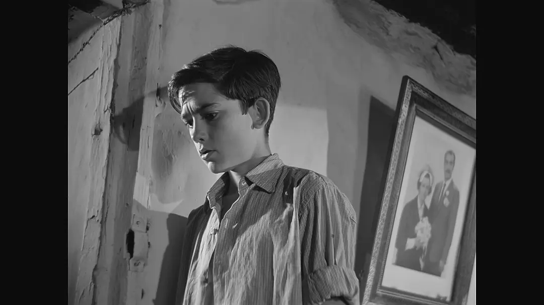 少年不知何处去剧照1