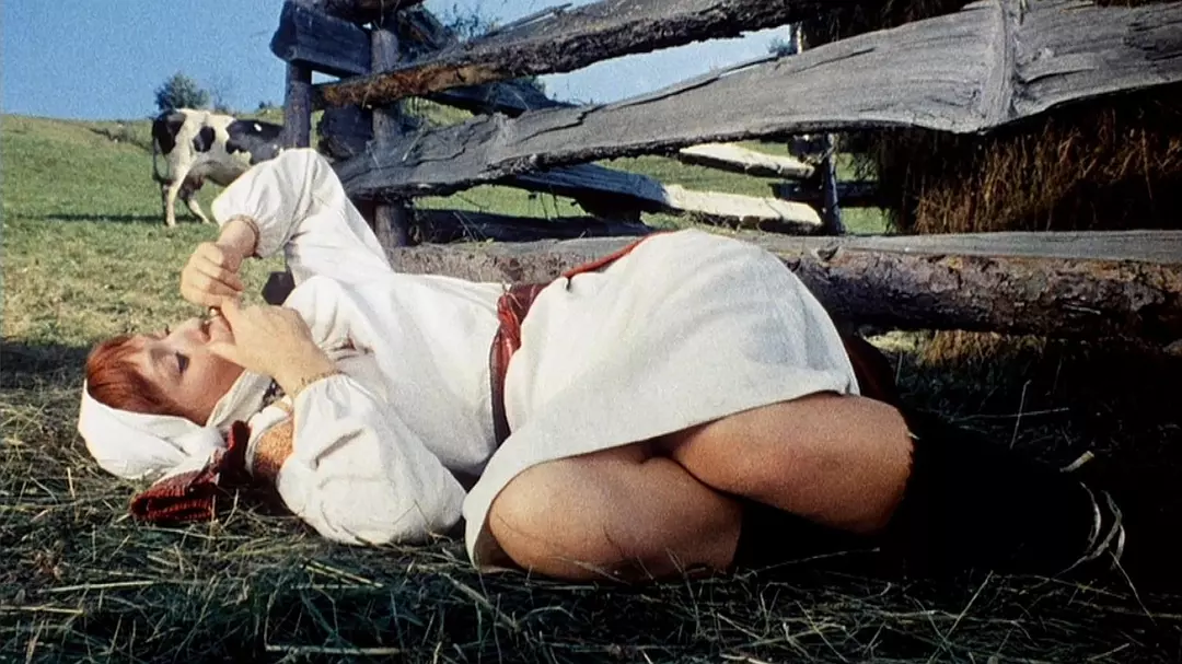 被遗忘的祖先的阴影剧照1