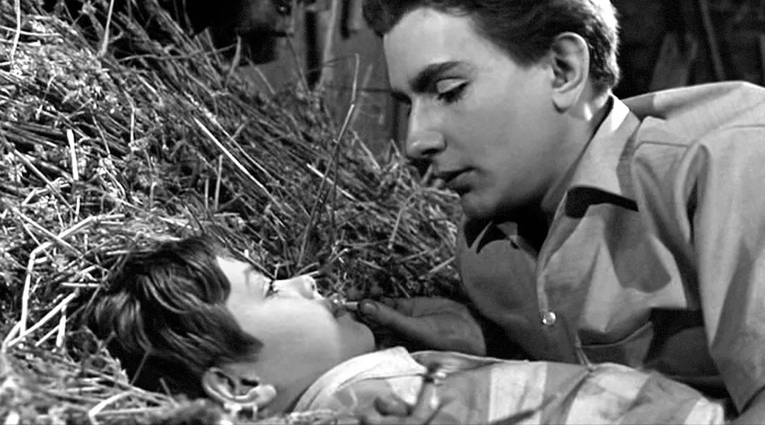 特殊的友情剧照1