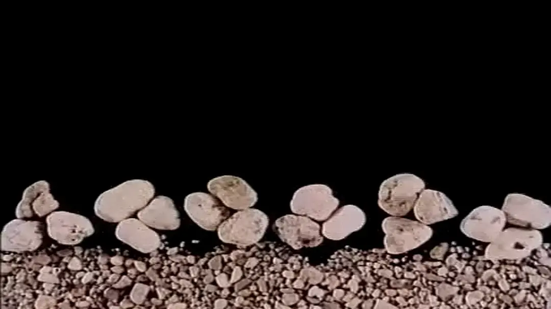 石头的游戏剧照3