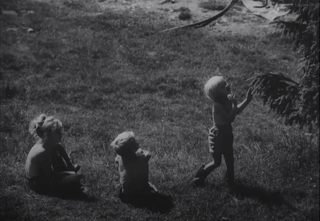 如果我有四头骆驼剧照1