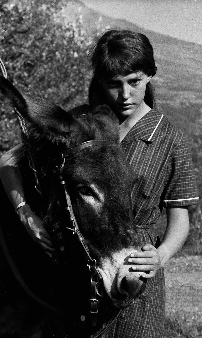 驴子巴特萨剧照1