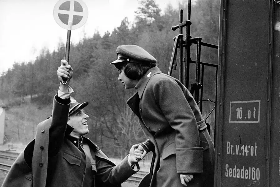 严密监视的列车剧照1