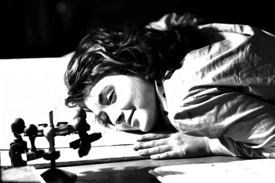 严密监视的列车剧照2