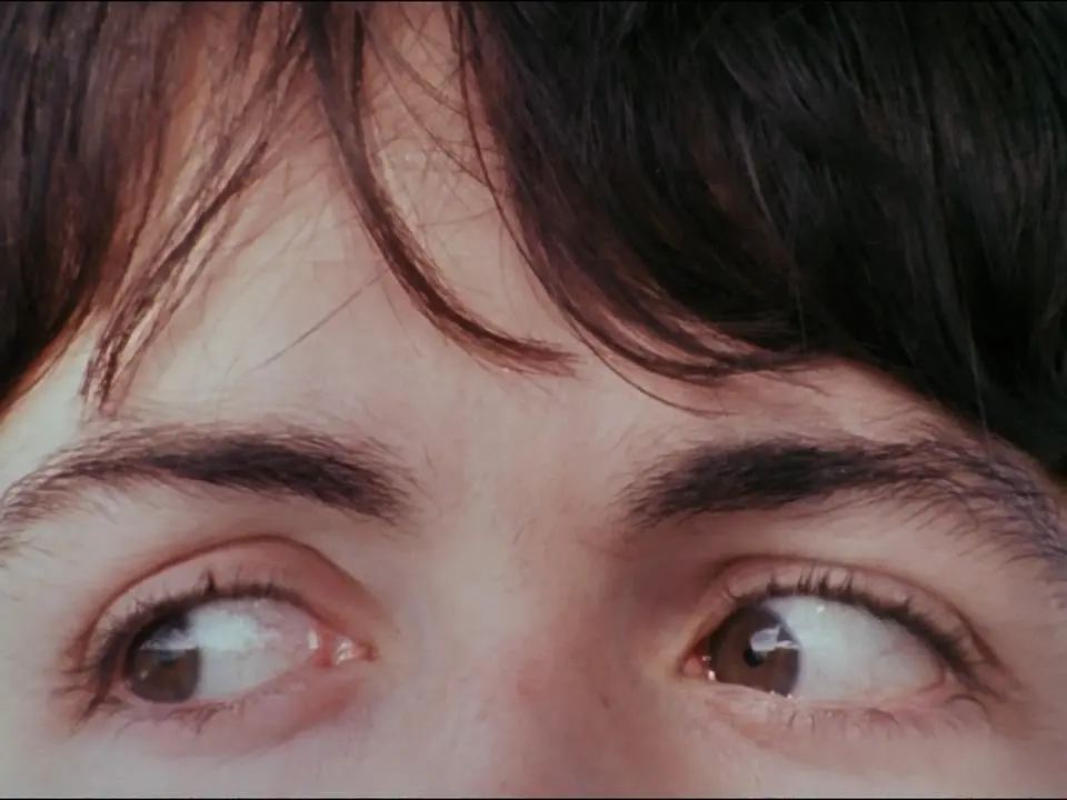 魔幻神秘之旅剧照3