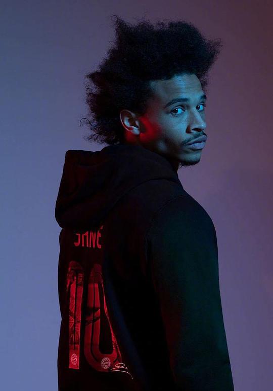 勒鲁瓦·萨内 Leroy Sane照片