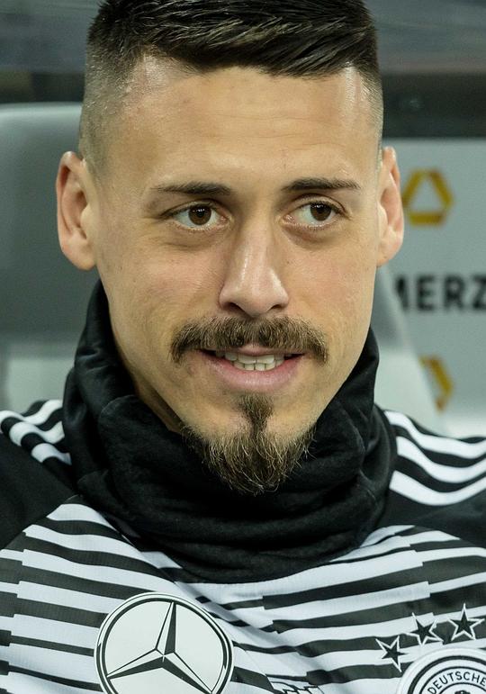 桑德罗·瓦格纳 Sandro Wagner照片