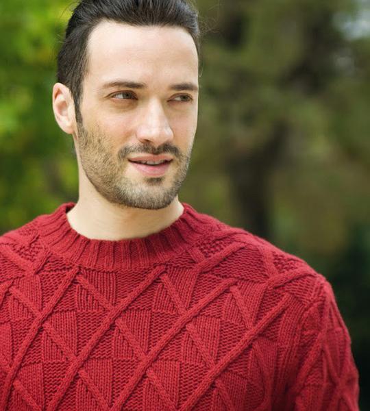 安德烈亚斯·康斯坦丁诺 Andreas Konstantinou照片