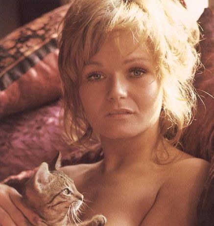 瓦莱丽·佩莱恩 Valerie Perrine照片