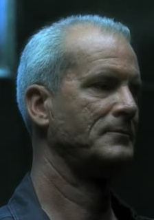 迈克尔·肖姆斯·维尔斯 Michael Shamus Wiles照片