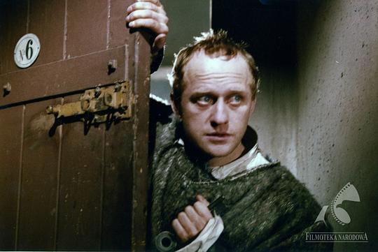 爱德华·曾塔拉 Edward Zentara照片