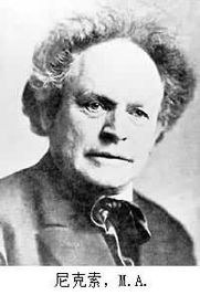 马丁·尼克索 Martin Andersen Nexø照片