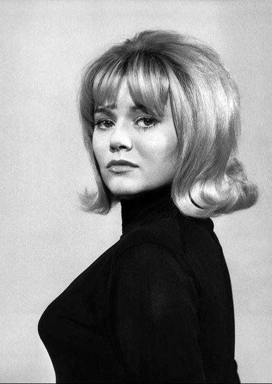 安妮塔·霍弗 Anita Höfer照片