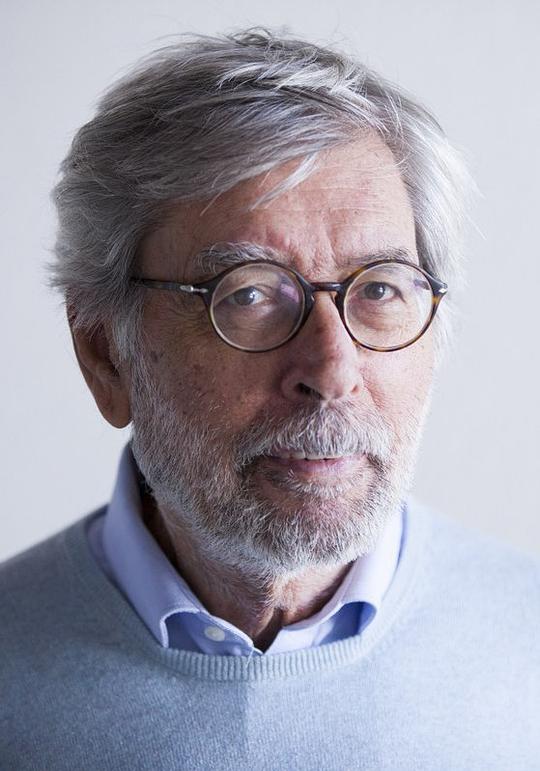 多梅尼科·斯塔尔诺内 Domenico Starnone照片