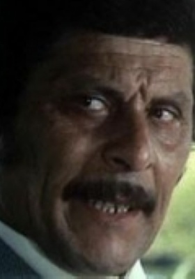 内洛·帕扎菲尼 Nello Pazzafini照片