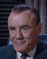 托林·撒切尔 Torin Thatcher照片