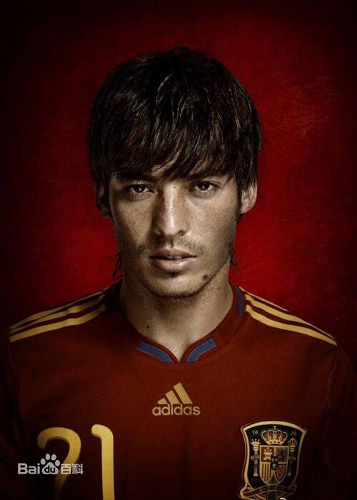 大卫·席尔瓦 David Silva照片