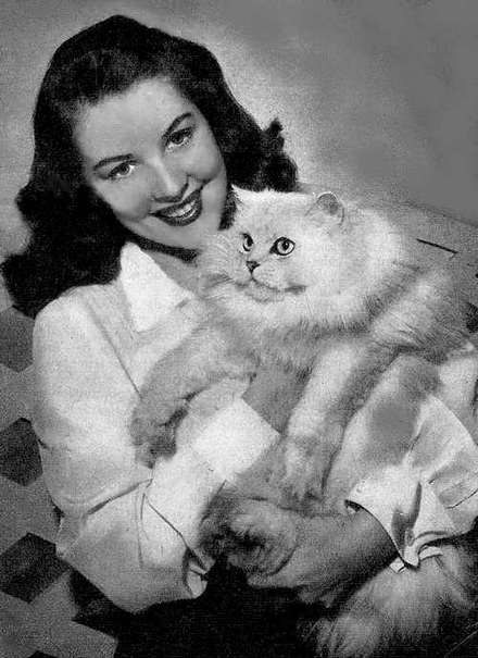 芭芭拉·贝茨 Barbara Bates照片