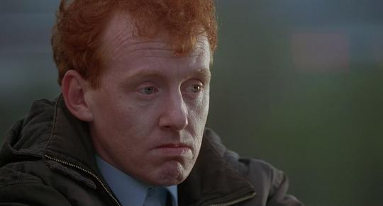 史蒂夫·惠森 Steve Huison照片