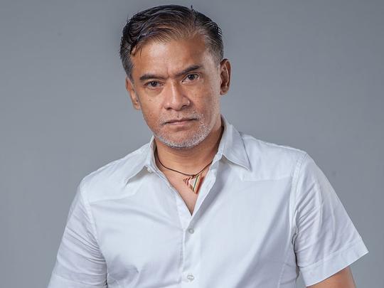 东尼·达玛拉 Donny Damara照片