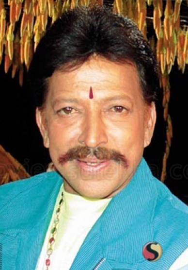 维西那波尔坦 Vishnuvardhan照片