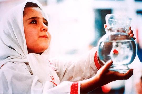 阿怡迪·莫哈曼德哈尼 Aida Mohammadkhani照片