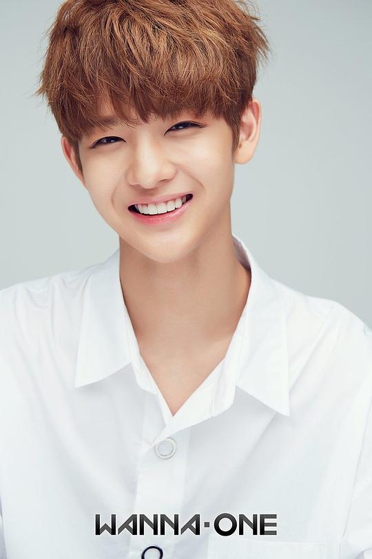 裴珍映 Jin-Young Bae照片