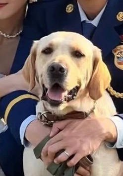 平安 An Ping照片