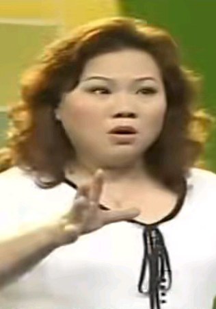 曾赛英 Saiying Zeng照片