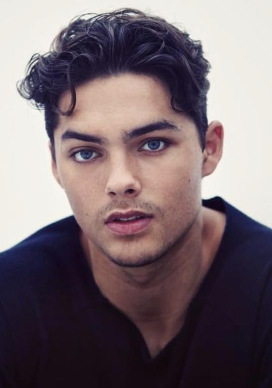 蒂伊斯·博曼斯 Thijs Boermans照片