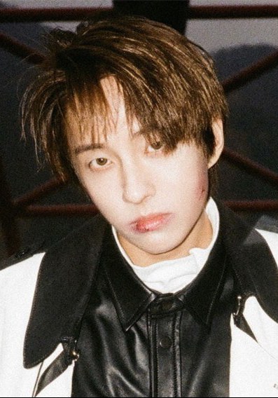 高太燮 Holland照片