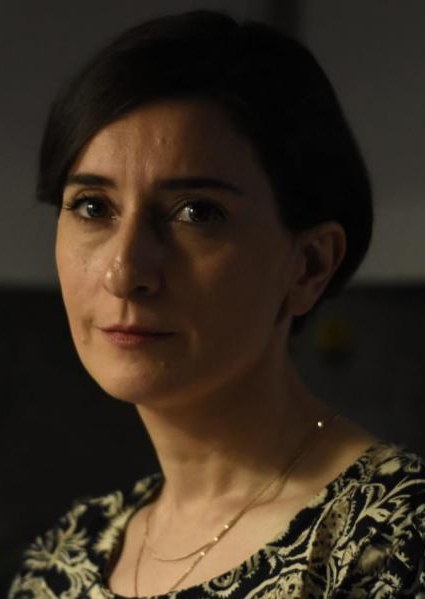 索海拉·戈莱斯塔尼 Soheila Golestani照片