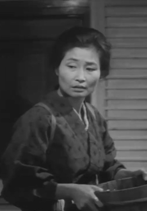 辻伊万里 Imari Tsuji照片