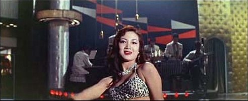 白木万理 Mari Shiraki照片