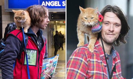 詹姆斯·鲍恩 James Bowen照片