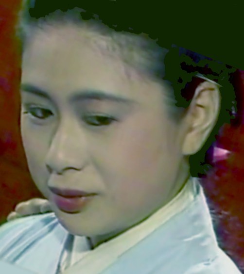 吉翔羚 Hsiang-Ling Chi照片