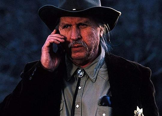 兰尼·弗拉哈迪 Lanny Flaherty照片