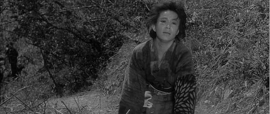 葵京子 Kyoko Aoi照片