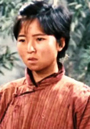 王淑华 Shuhua Wang照片