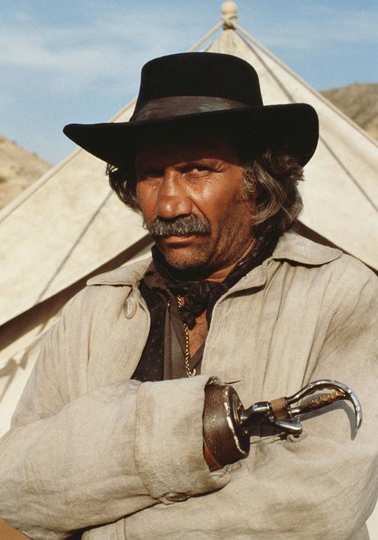 维克·塔布安 Vic Tablian照片