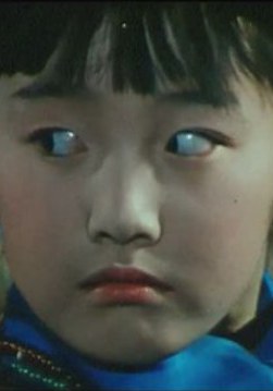 陆茜 Qian Lu照片